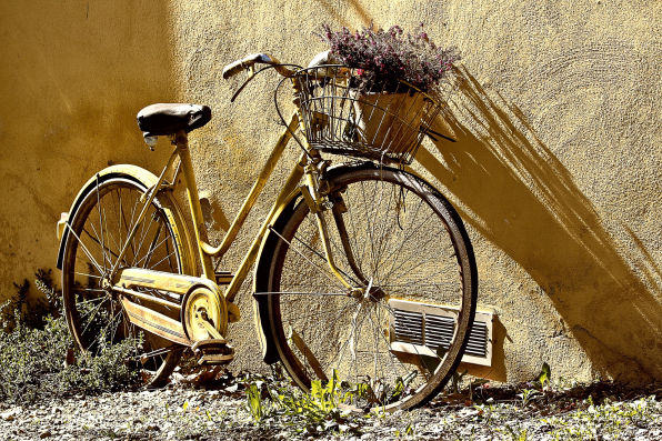 Salas Bike